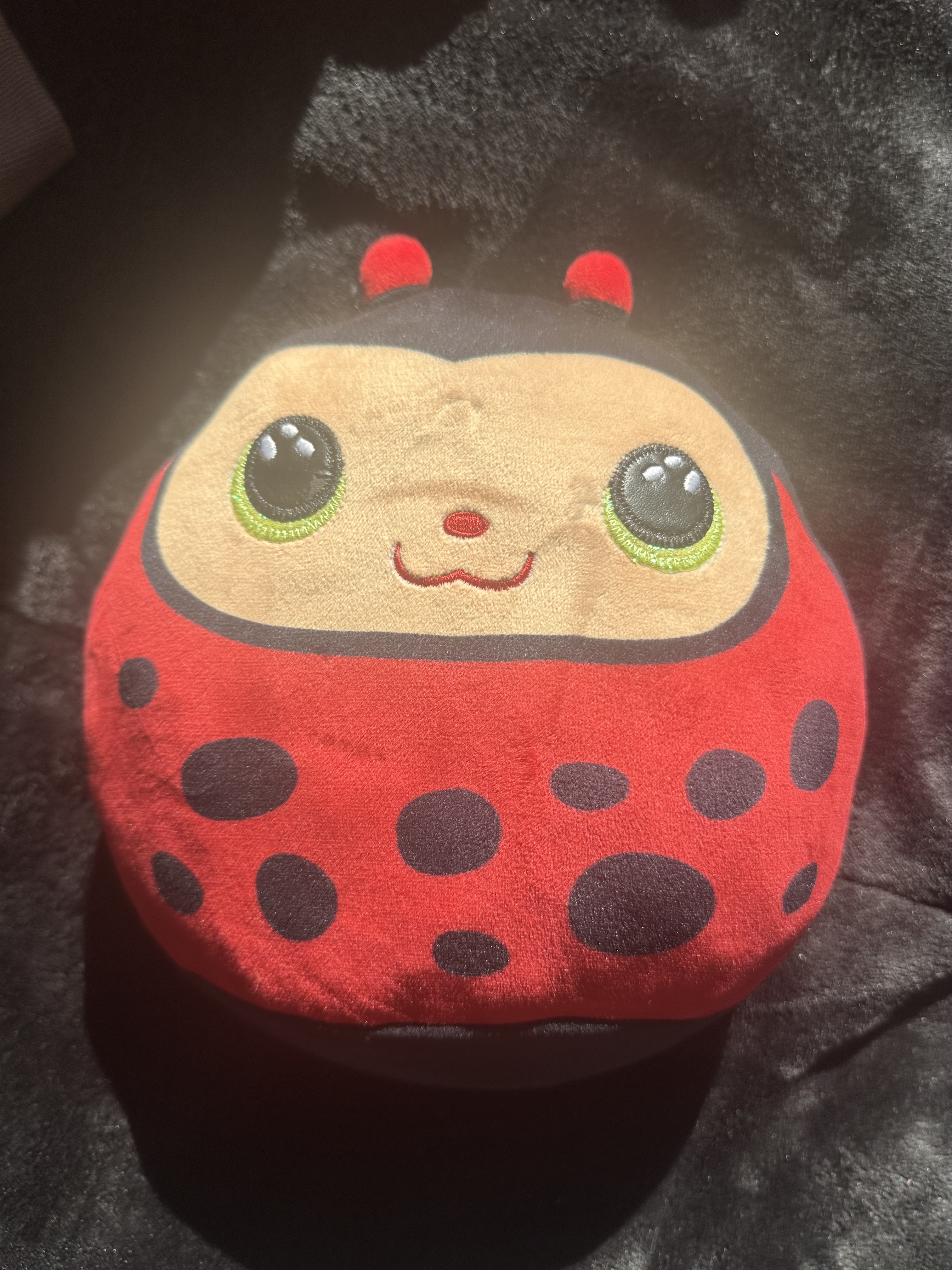 ladybug